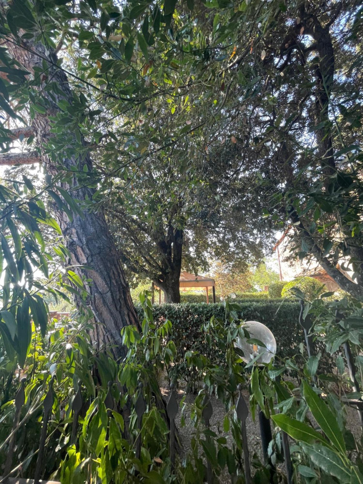 Intero Appartamento Con Private Pool E Jacuzzi Podere Settefrati Montaione Dış mekan fotoğraf